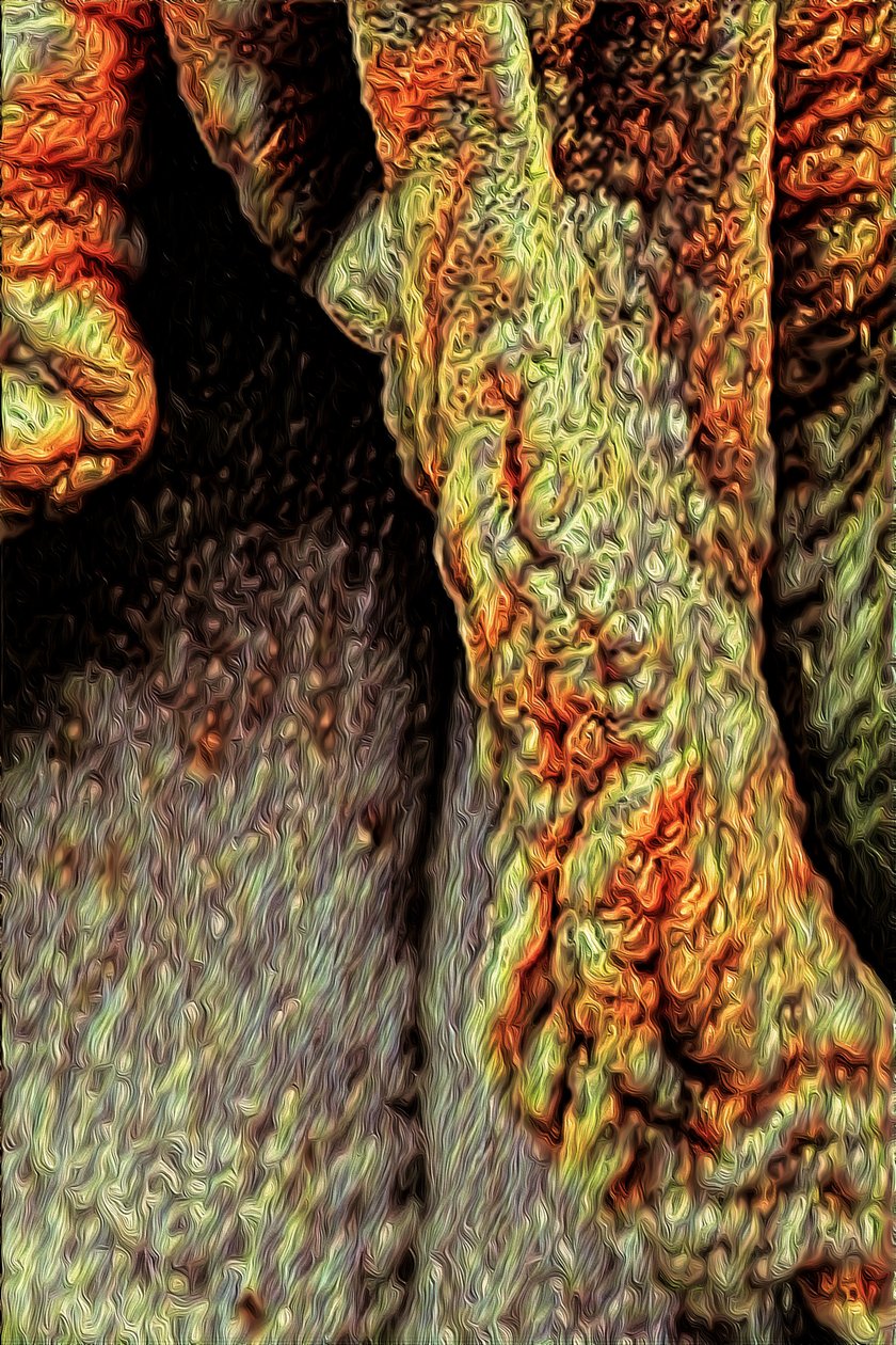 Tronc d
