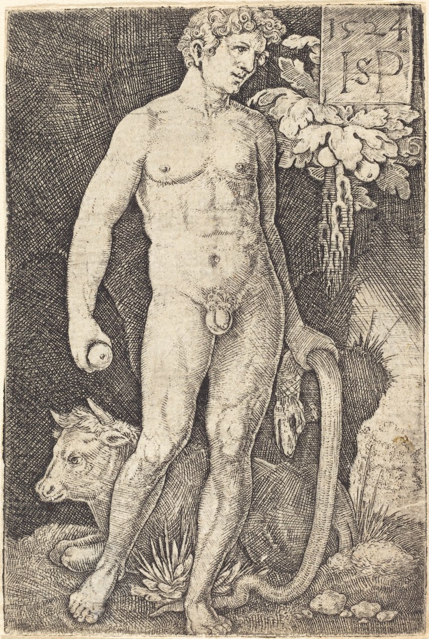 Adam debout - Sebald Beham
