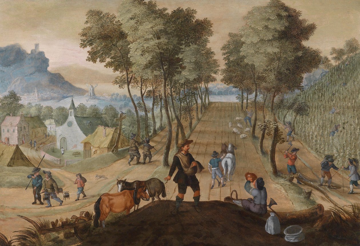 Paysage boisé près d