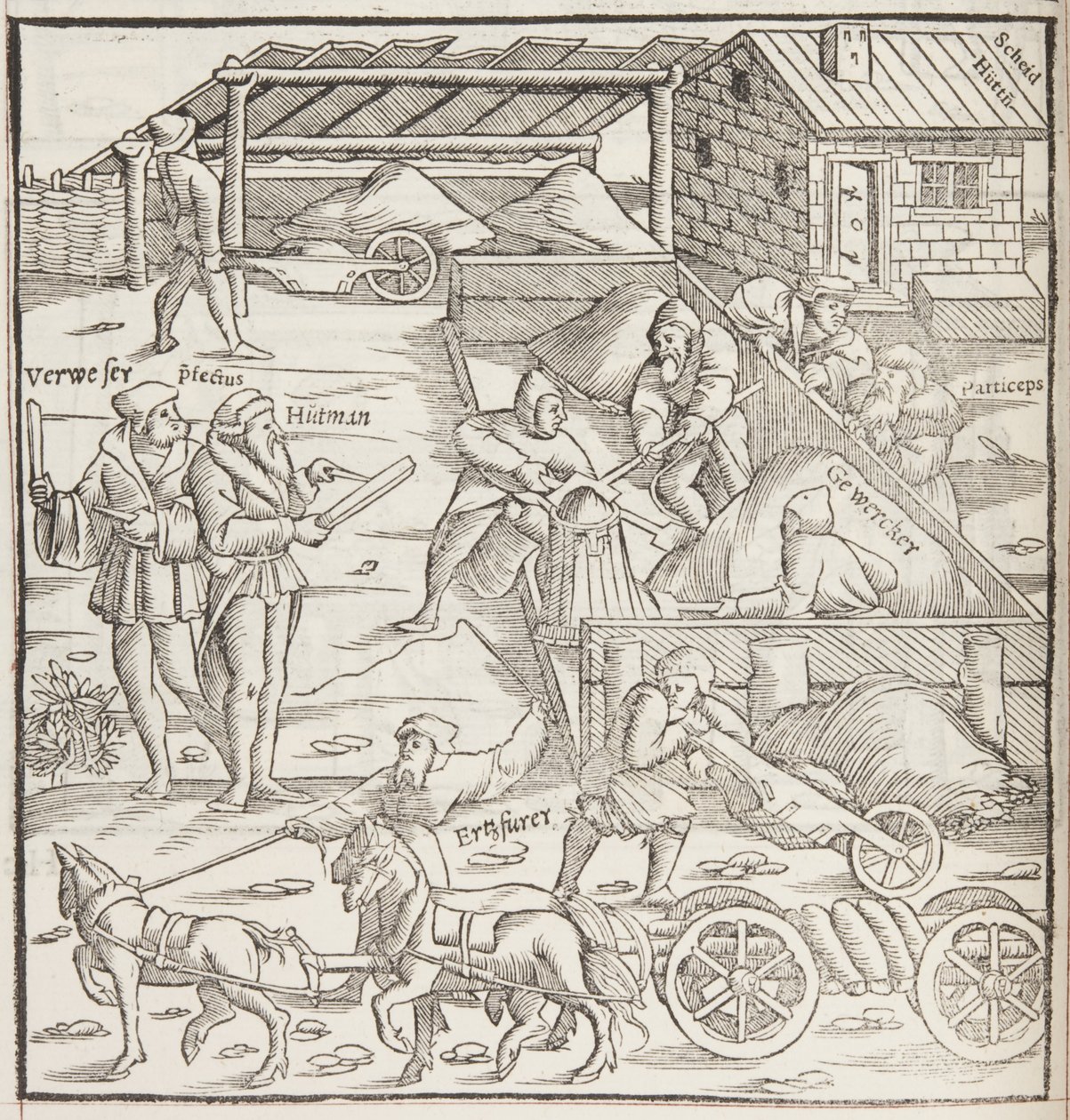 Cosmographia, (détail) - Sebastian Munster