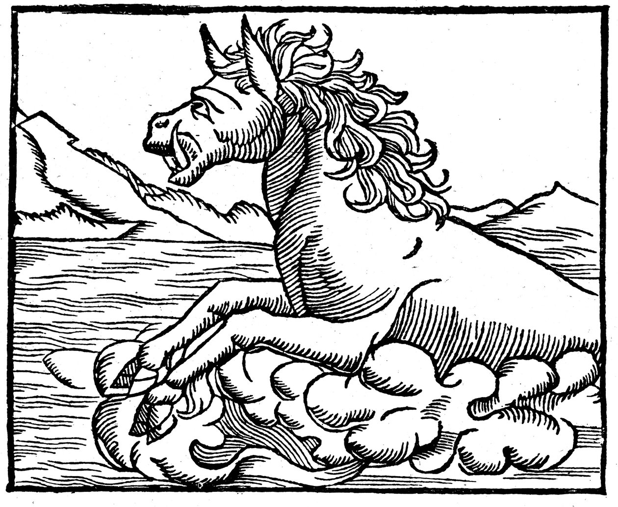 Monstre marin - Sebastian Munster