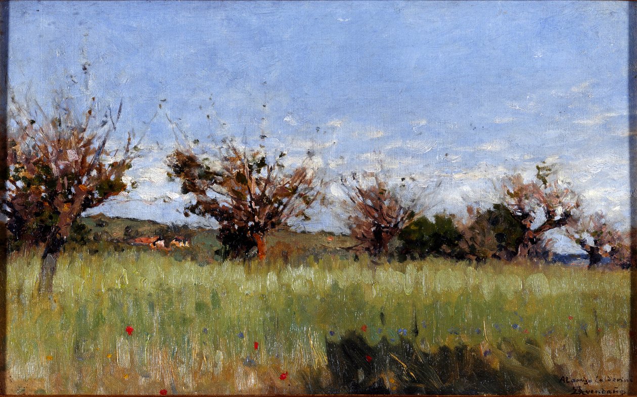 Champ de blé avec mûrier - Serafin Avendano