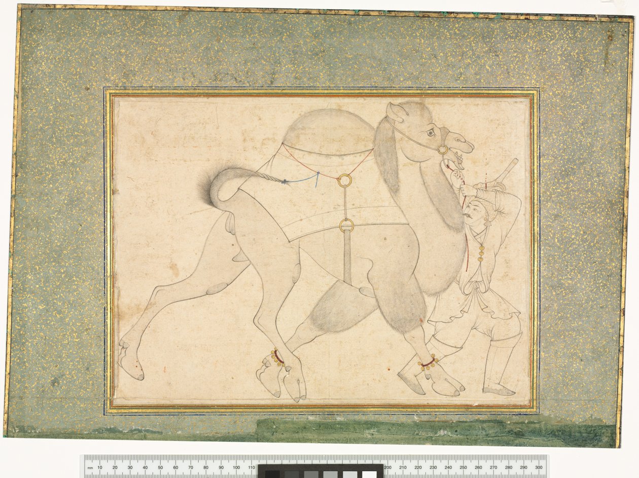 Chameau et palefrenier, vers 1545-1576 - Shaykh Muhammad