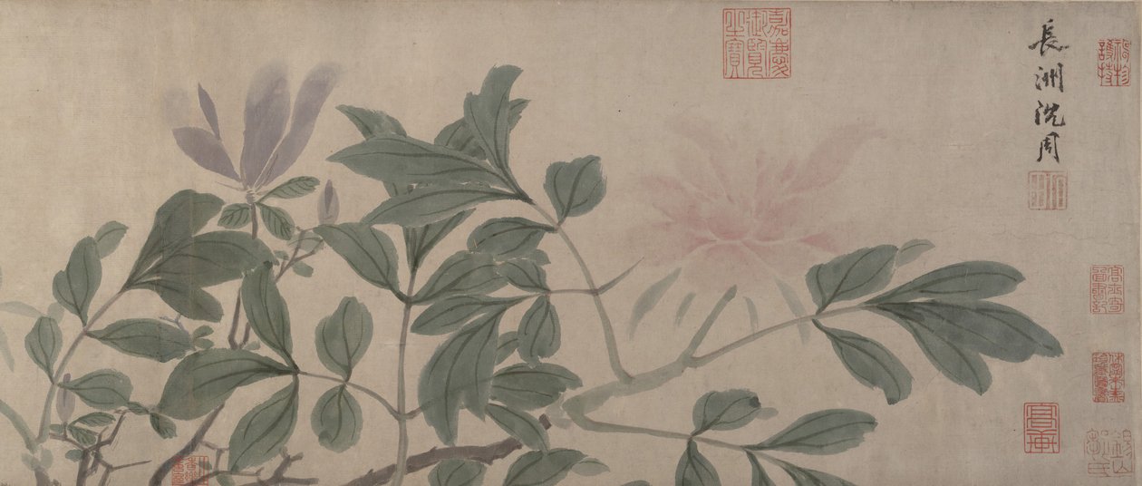 Fleurs des quatre saisons - Shen Zhou