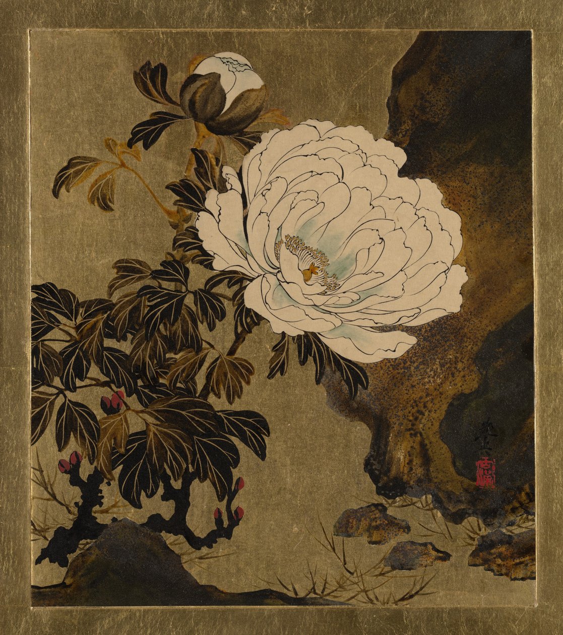 Peintures laquées de divers sujets : Pivoines - Shibata Zeshin