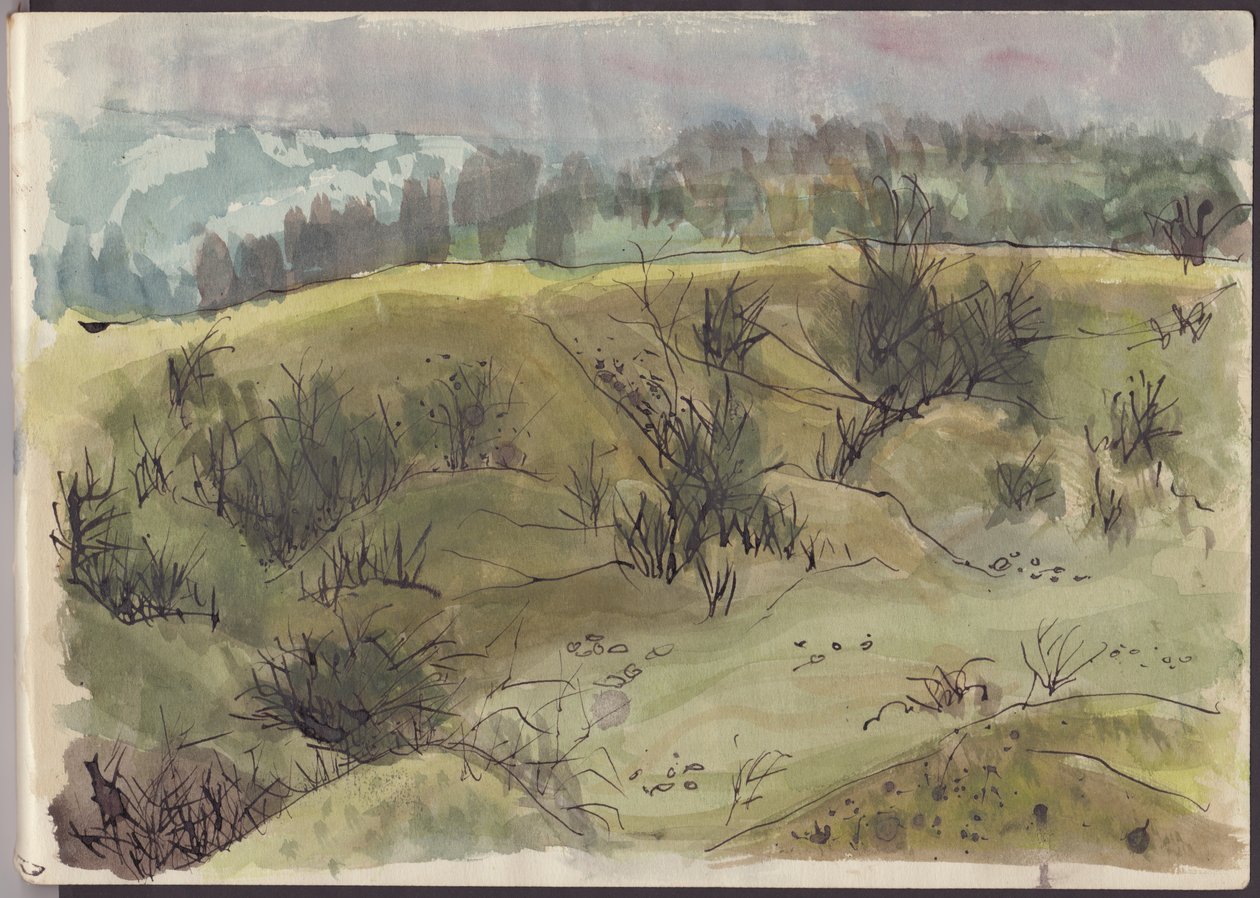 Paysage avec buissons, Italie, c1950 - Shirley Markham