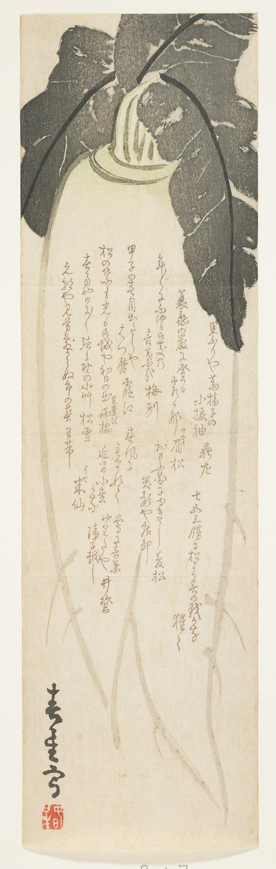 Radis Daikon, janvier 1864 - Shunsei