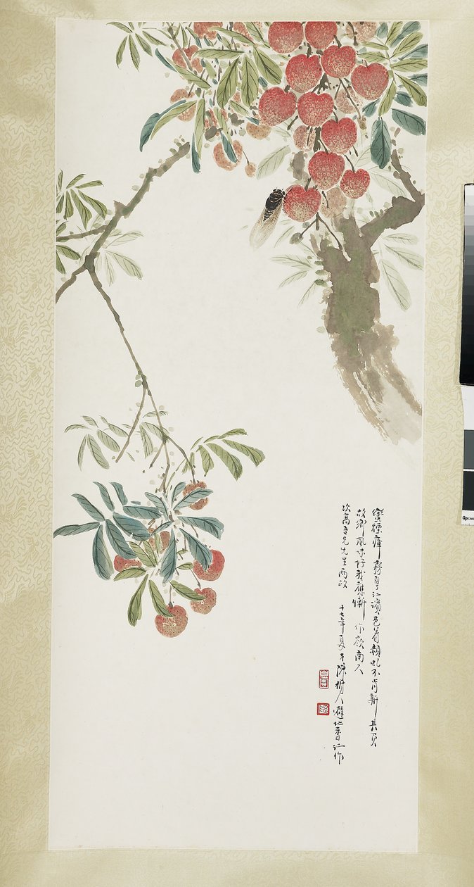 Litchis et cigale - Shuren Chen