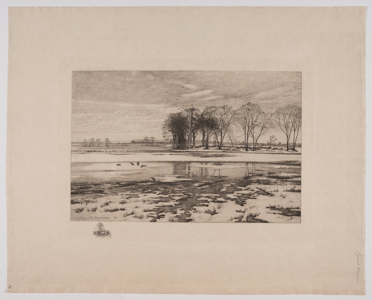 Paysage d