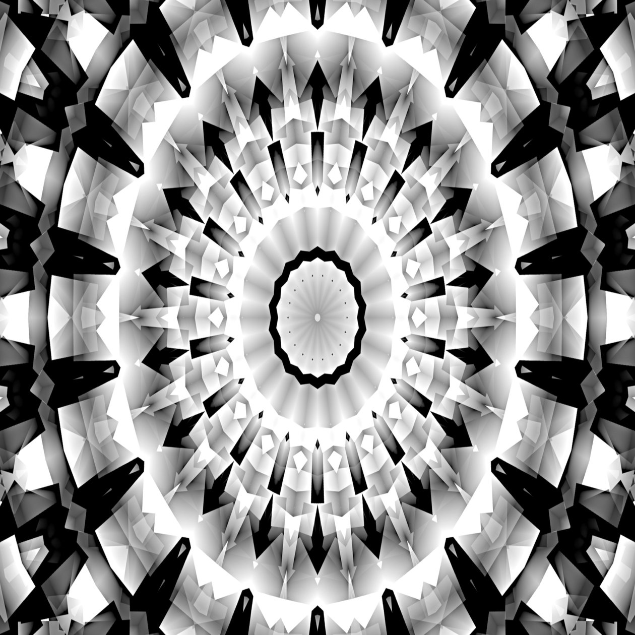 Symphonie en noir et blanc - Silvia Martini
