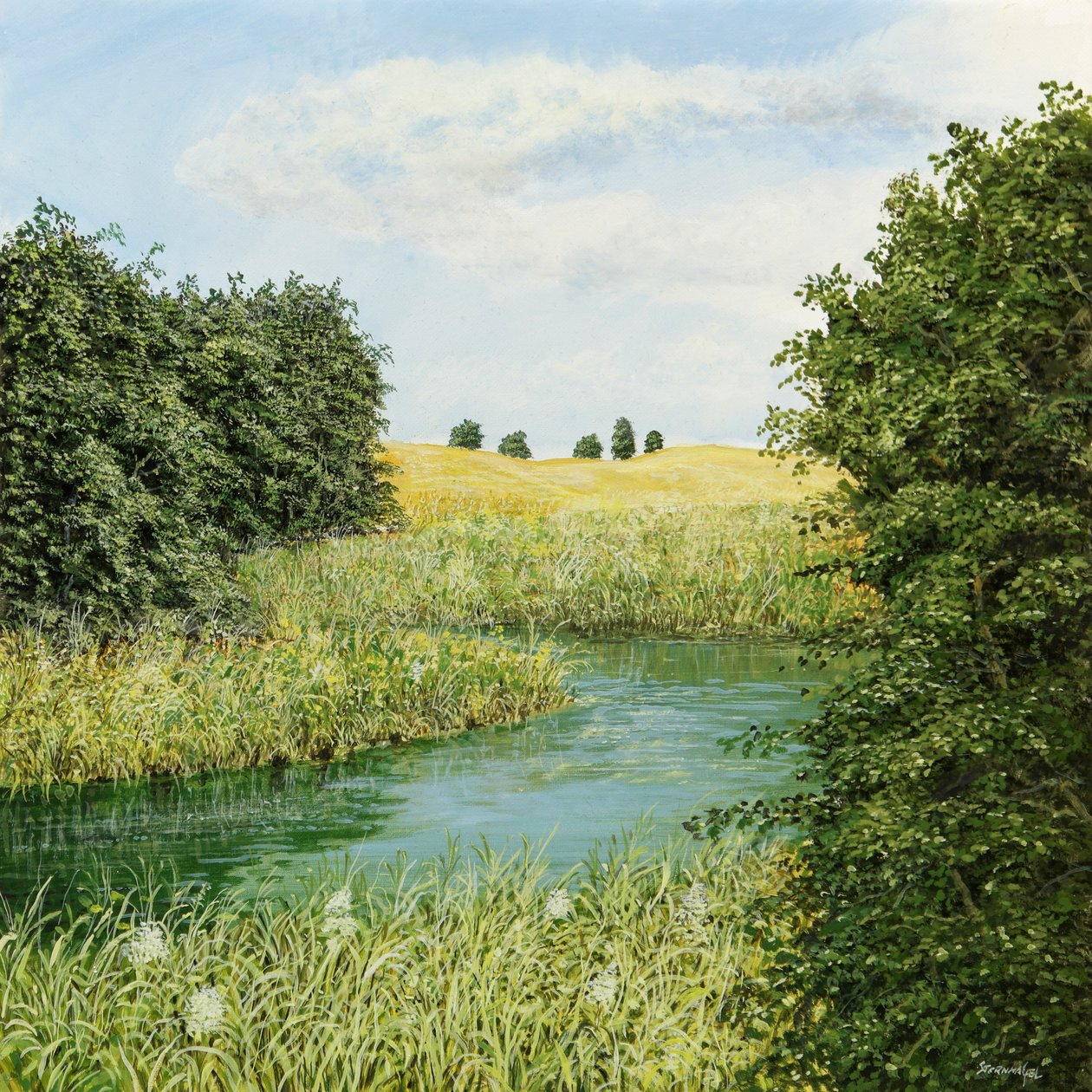Jardin anglais - Silvian Sternhagel