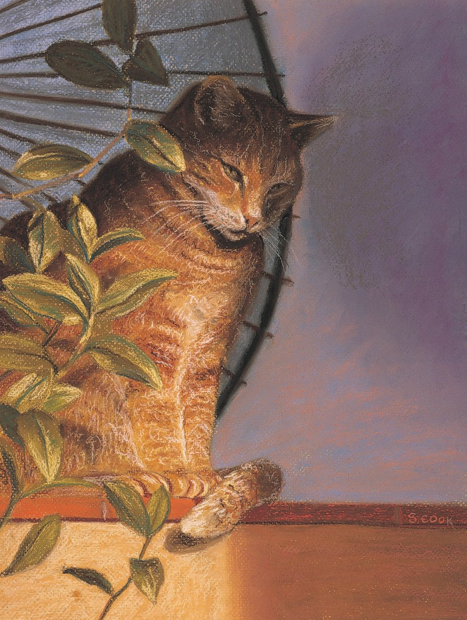 Contemplation - Simon Cook