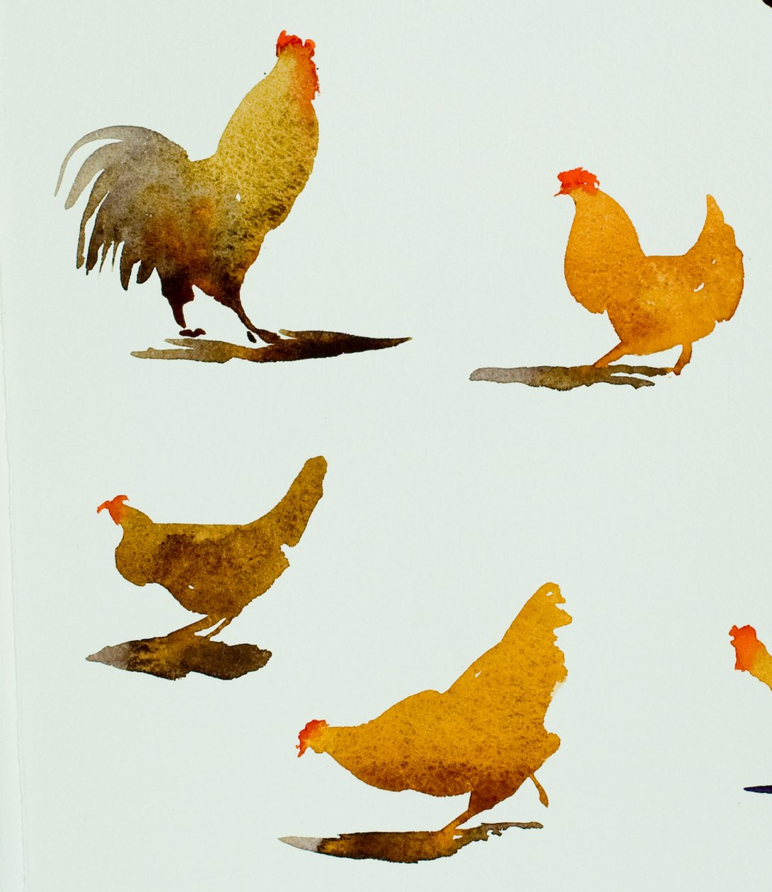 Coq et trois poules, 2013 (aquarelle) - Simon Fletcher