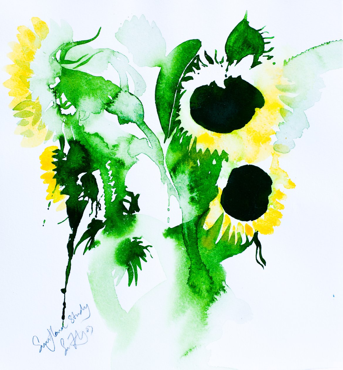 Étude sur les tournesols, 2005 (aquarelle) - Simon Fletcher