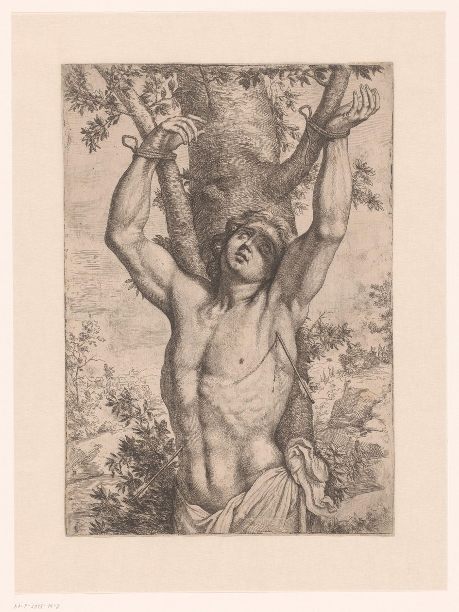Saint Sébastien attaché à un arbre - Simon Francois