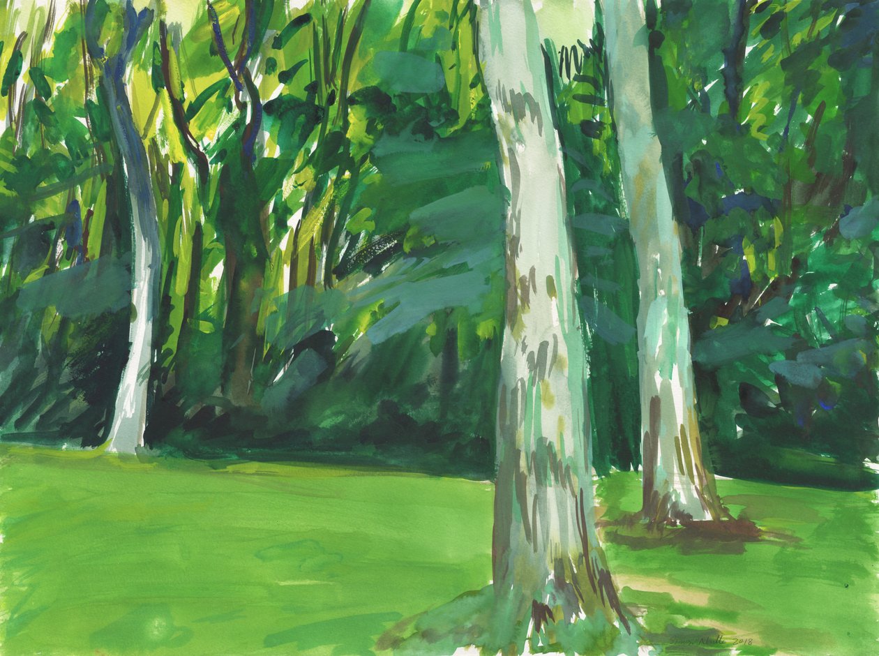 Jardin et zone humide, 2018 (aquarelle sur papier) - Simon Neville