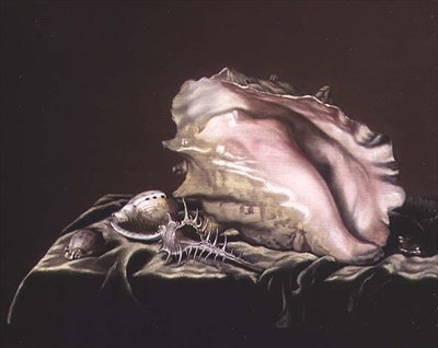 Nature morte de coquillages - Simon Renard de Saint Andre