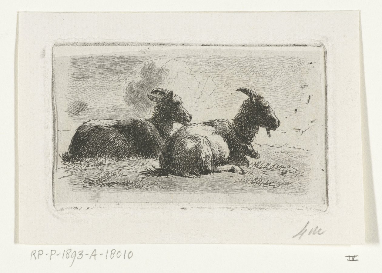 Deux chèvres couchées - Simon van den Berg