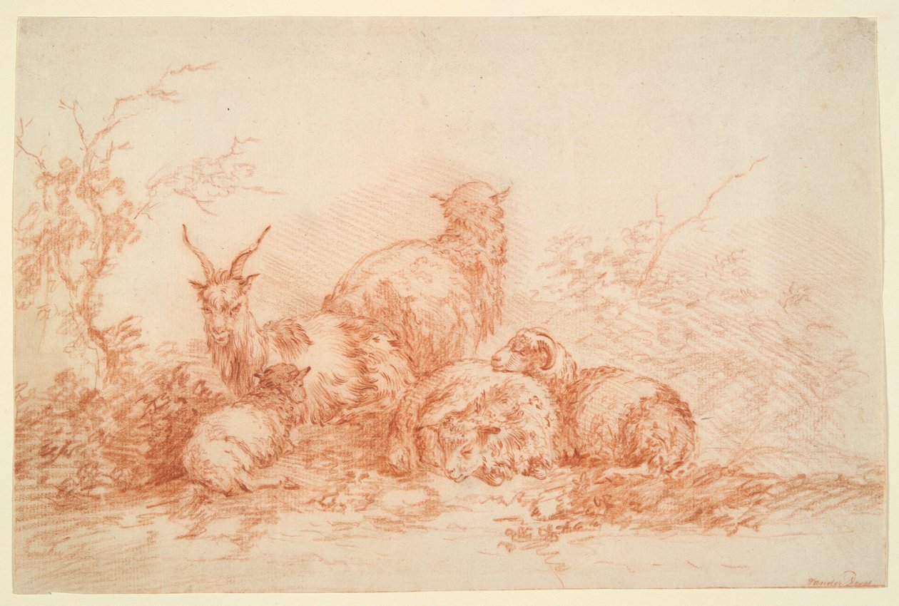 Mouton et chèvre au repos - Simon van der Does