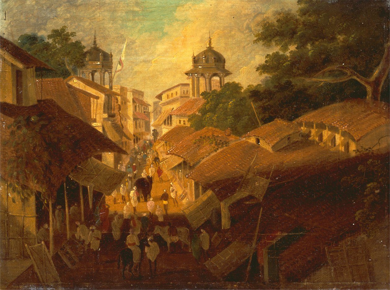 Rue à Patna - Sir Charles DOyly