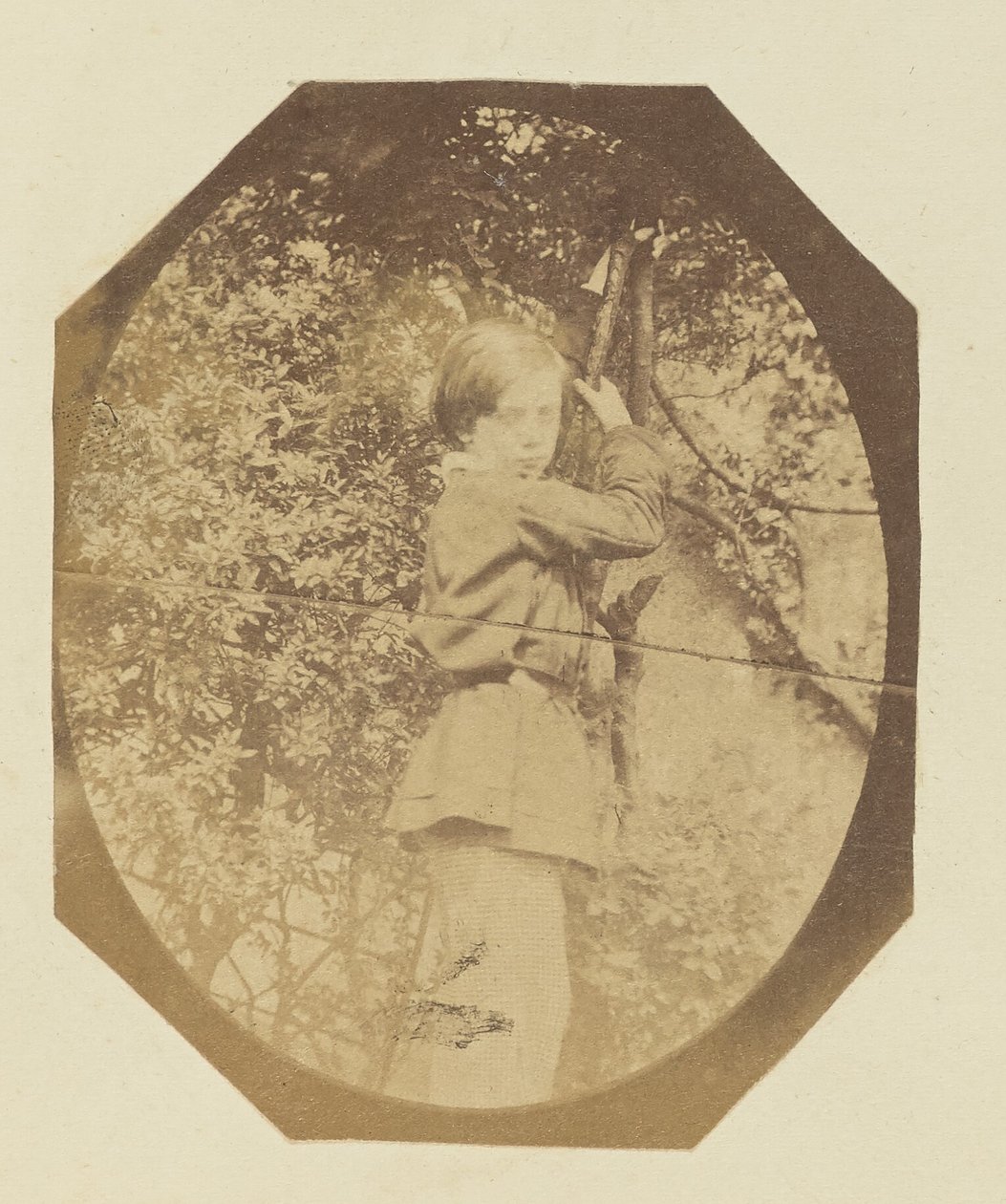 [Portrait d