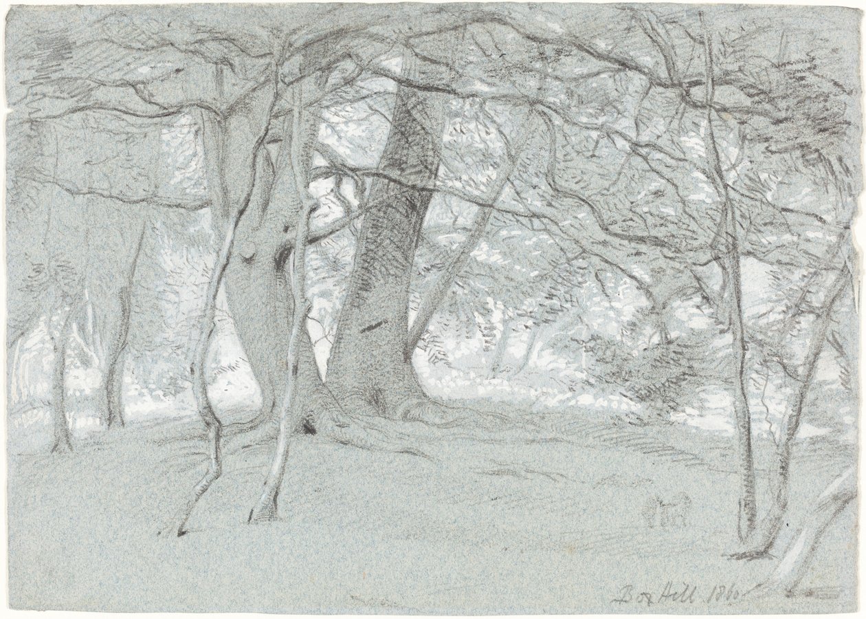 Arbres à Box Hill - Sir William Blake Richmond