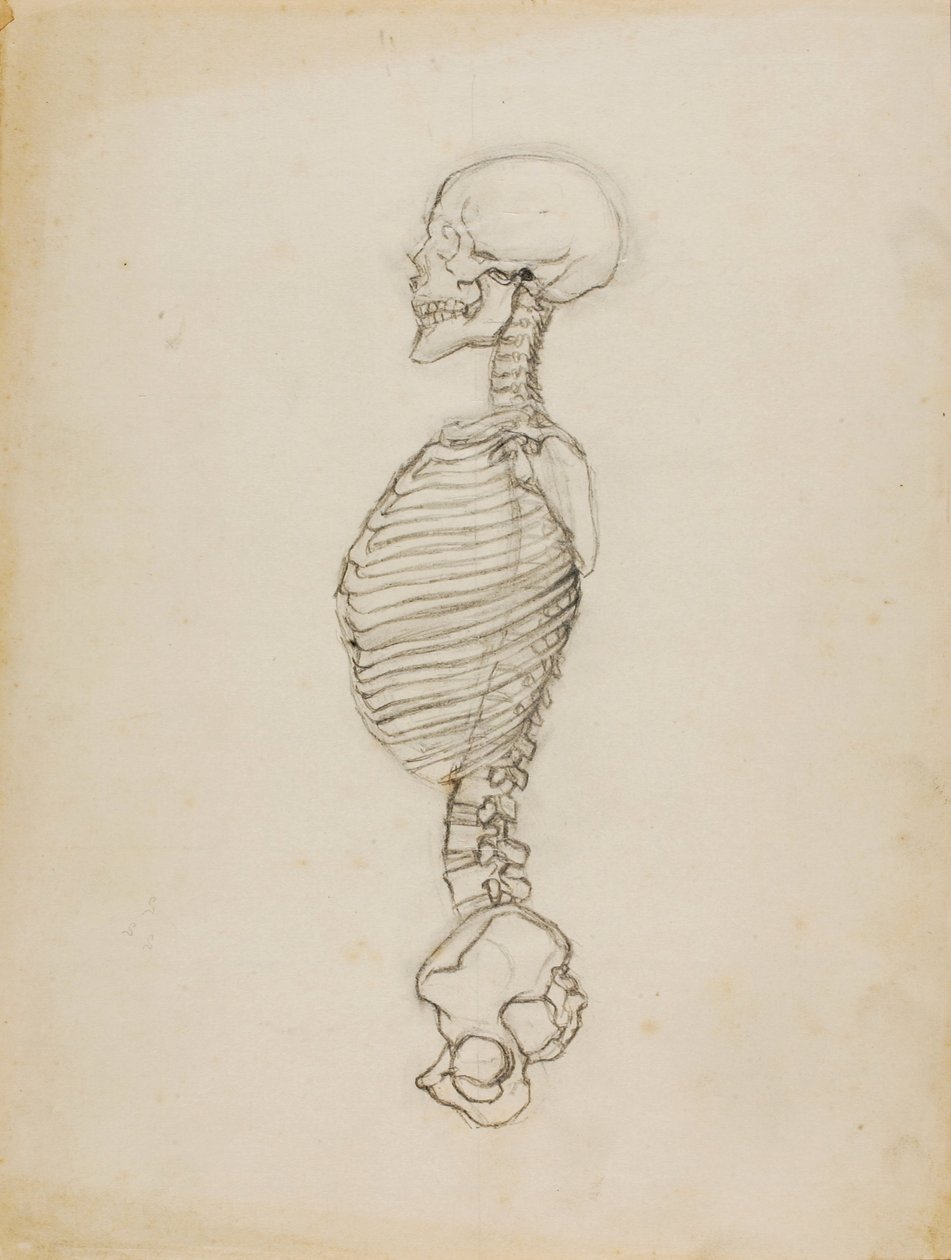 Anatomie - Solon H. Borglum