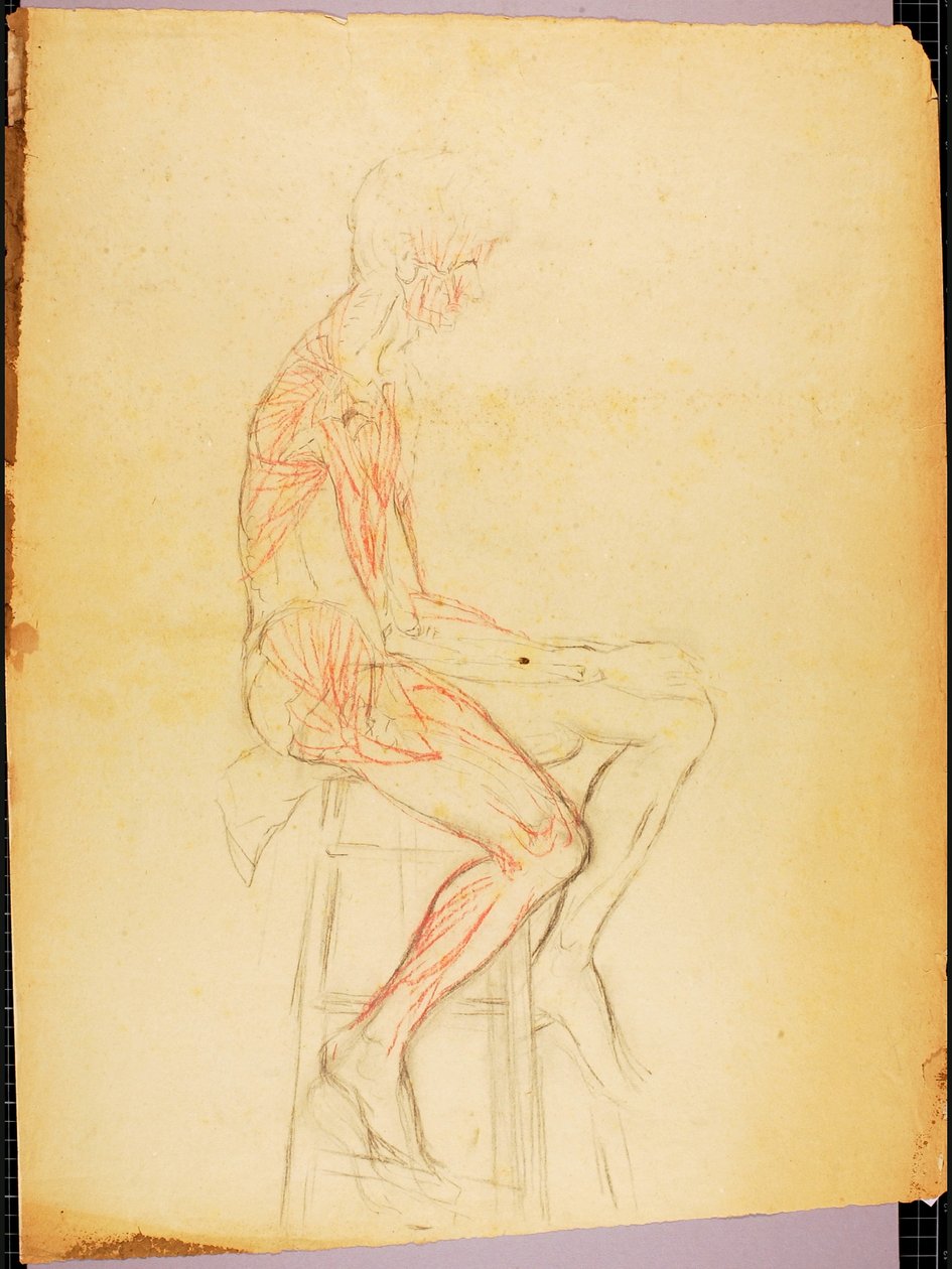Garçon - Solon H. Borglum