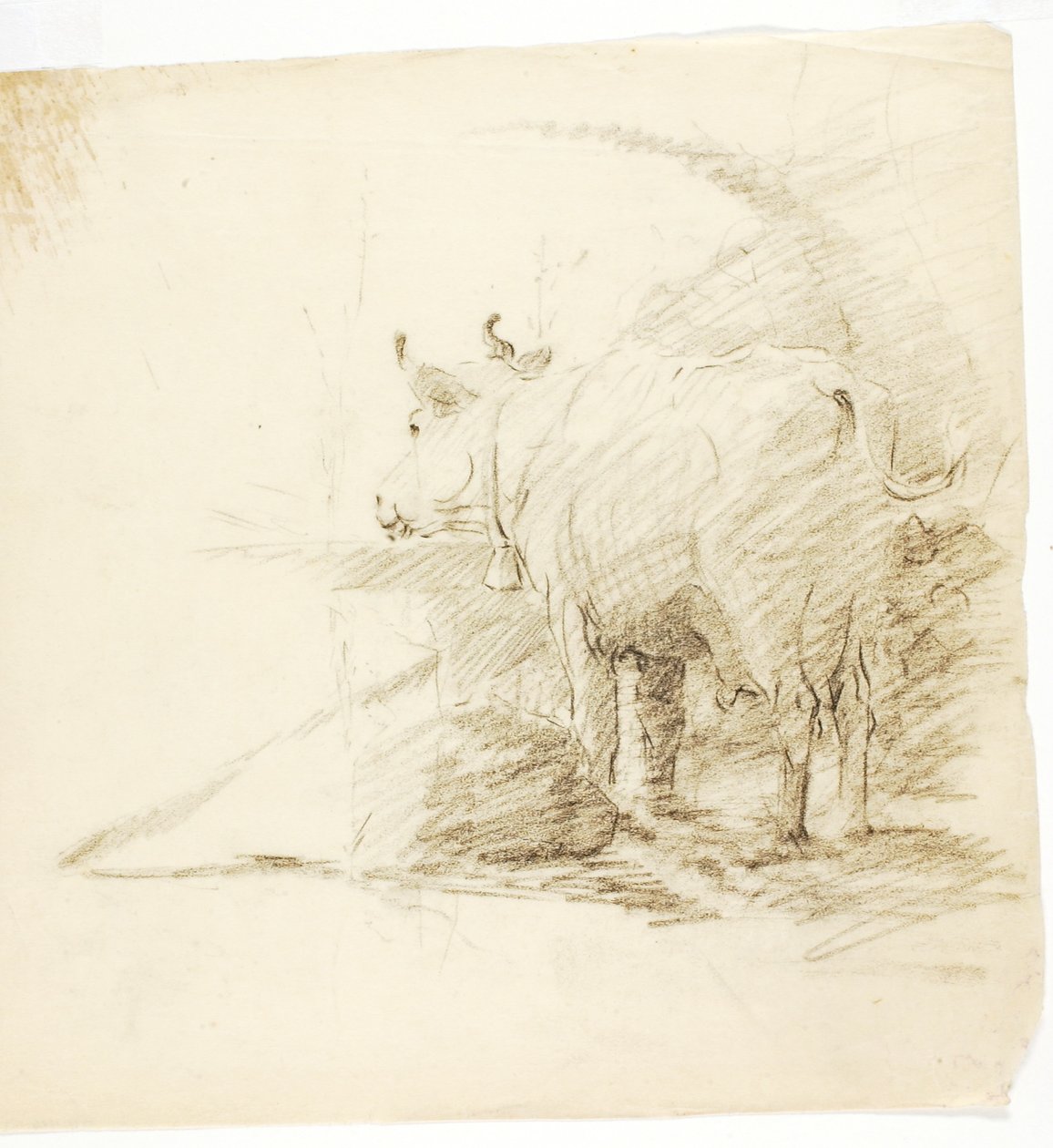 Vache - Solon H. Borglum