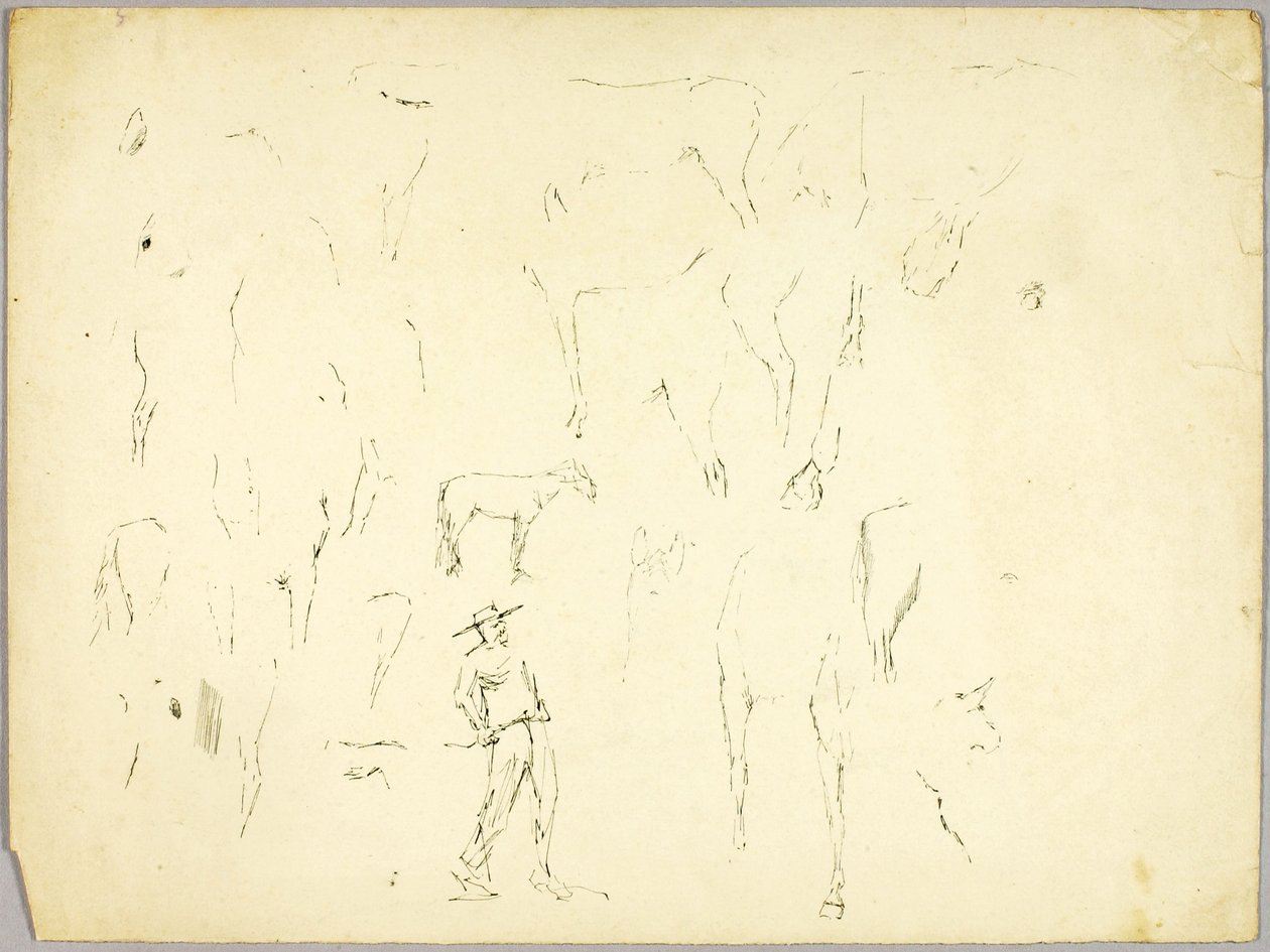 Étude sur les chevaux - Solon H. Borglum