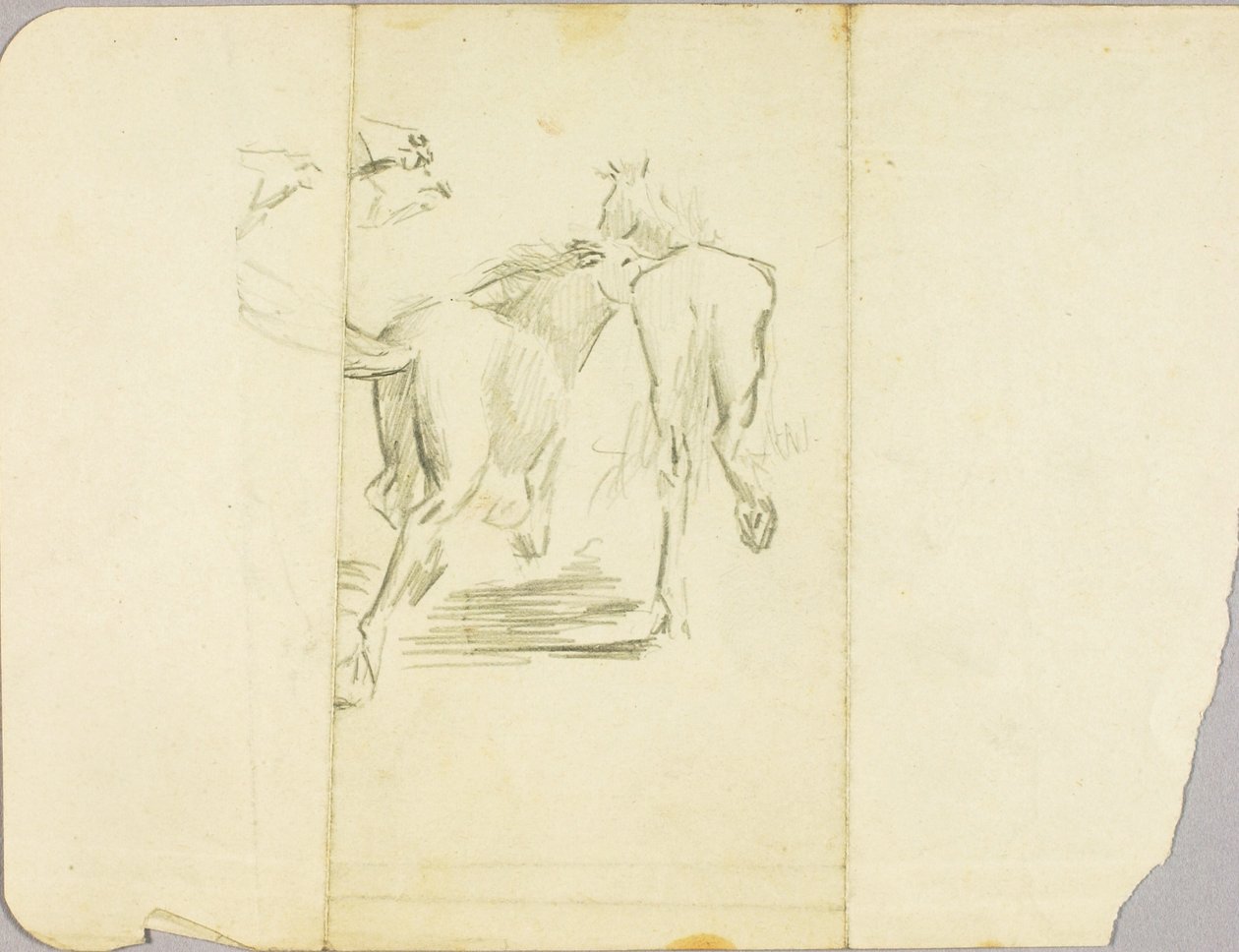 Chevaux - Solon H. Borglum