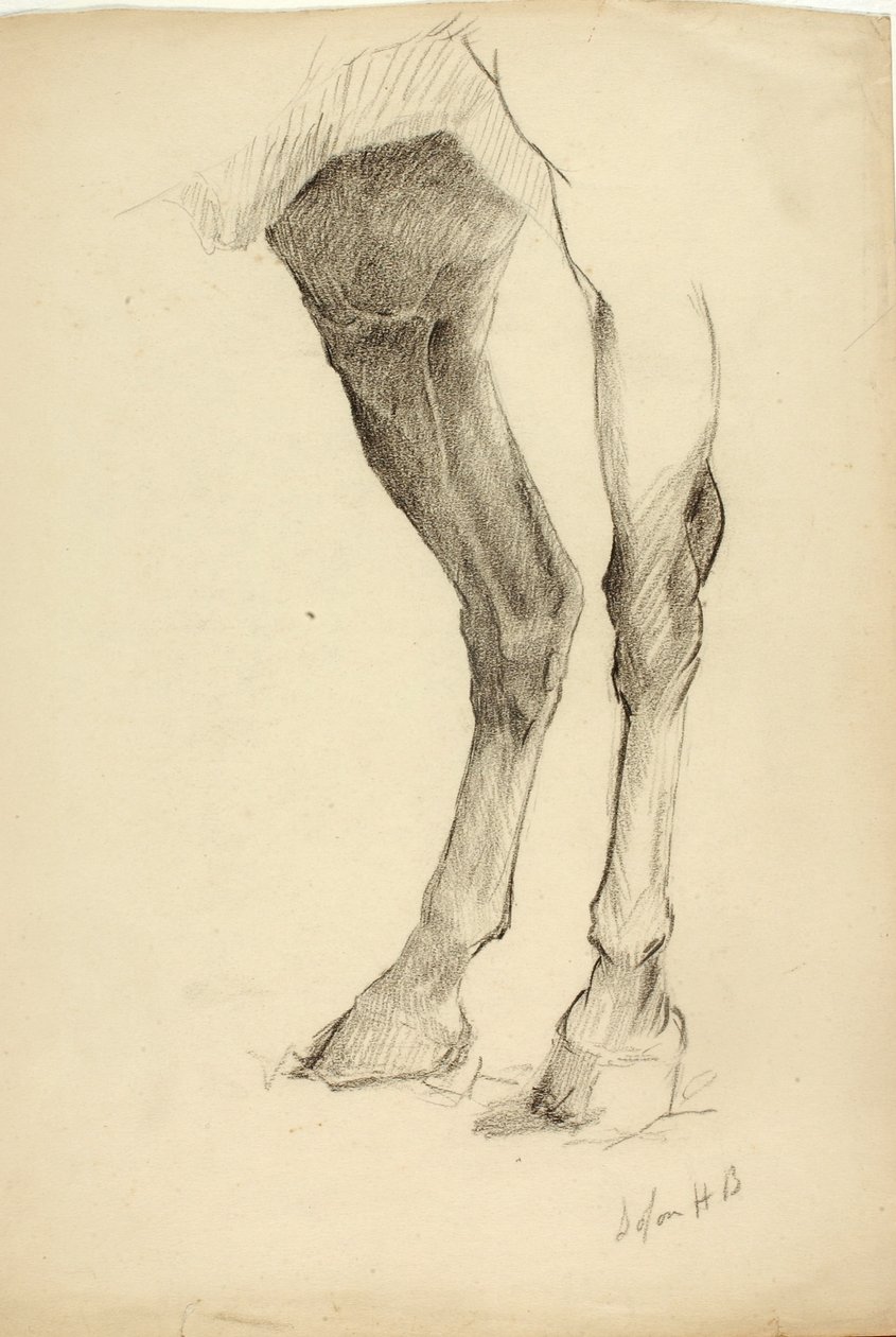 Jambe de cheval - Solon H. Borglum