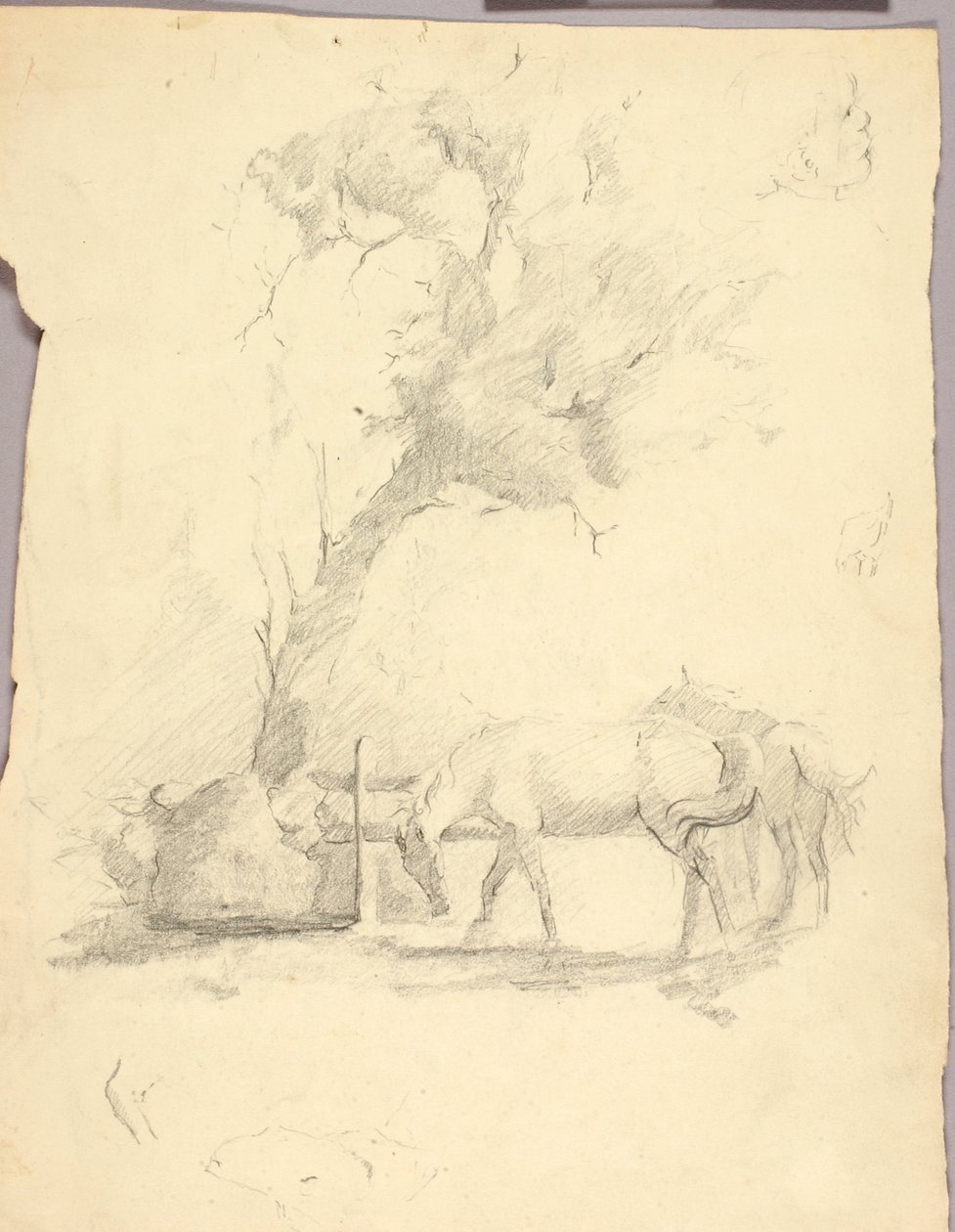Chevaux et arbres - Solon H. Borglum