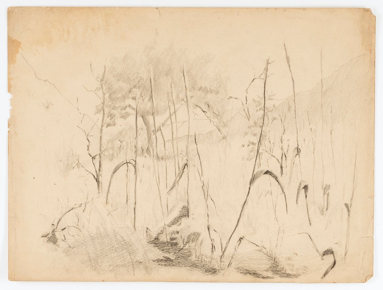 Paysage - Solon H. Borglum