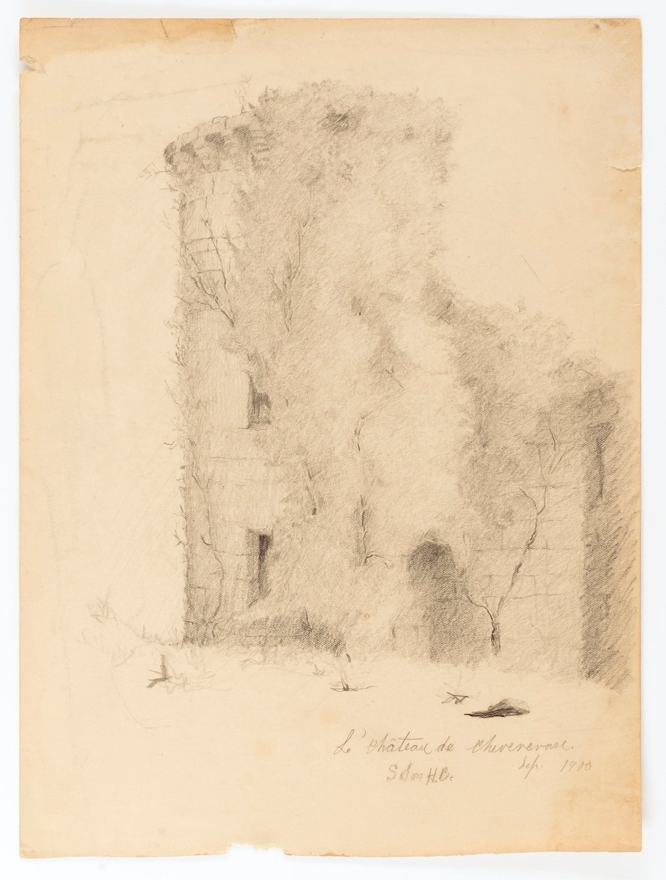 Le Chateau de Chevenevase - Solon H. Borglum