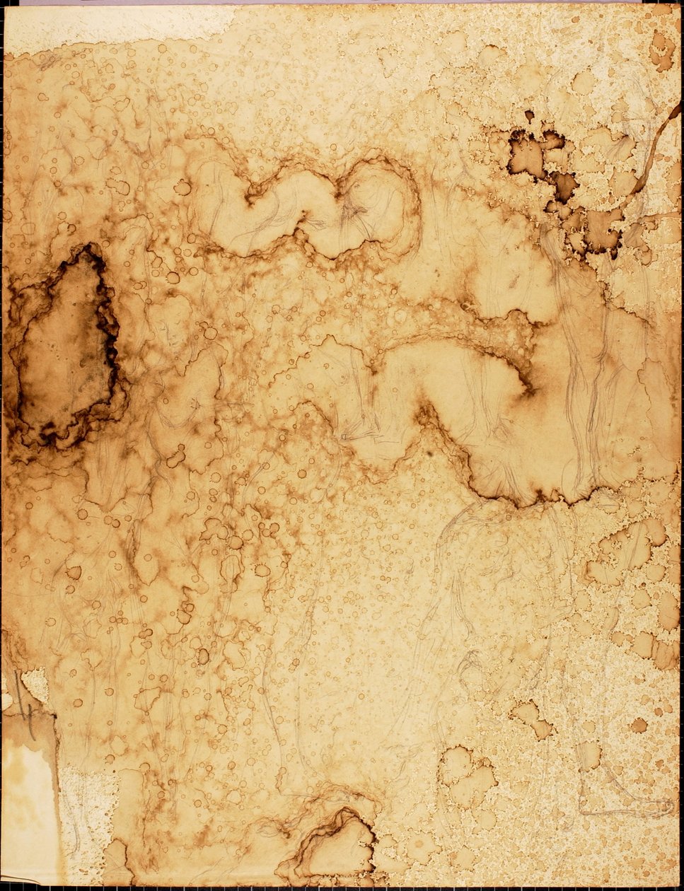 Nus - Solon H. Borglum