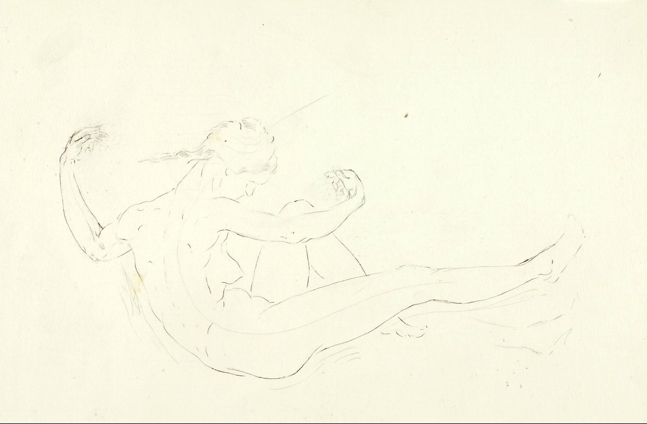 Nager nu - Solon H. Borglum