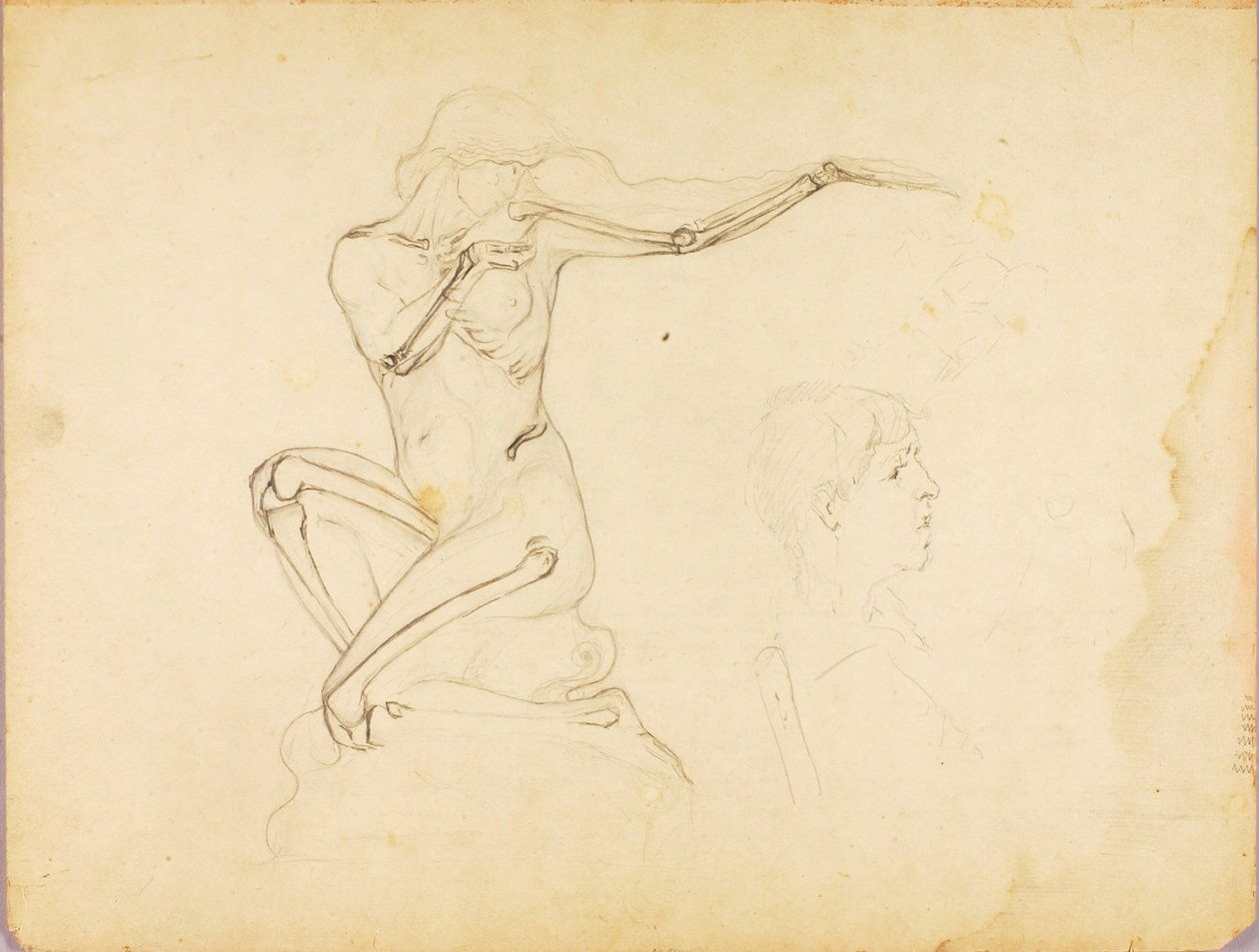 Sans titre - Solon H. Borglum