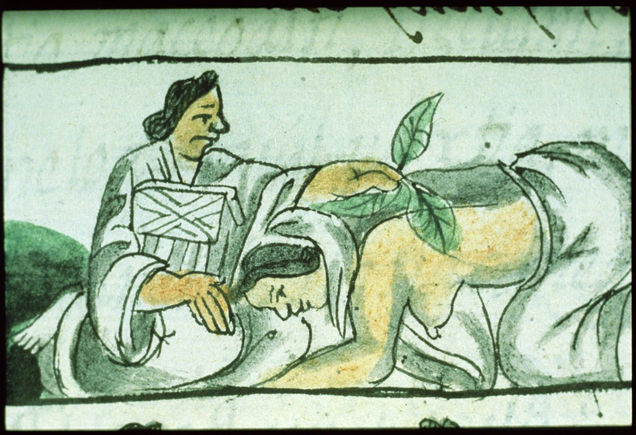 Livre IX Ms Palat. 218-220 Sage-femme aztèque administrant des herbes à une femme après l