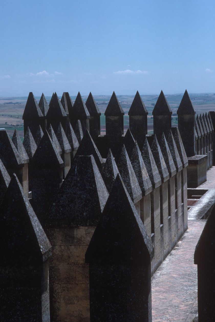 Les créneaux du château - Spanish School