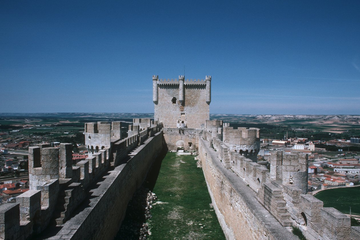 Vue des murs du château et du donjon - Spanish School