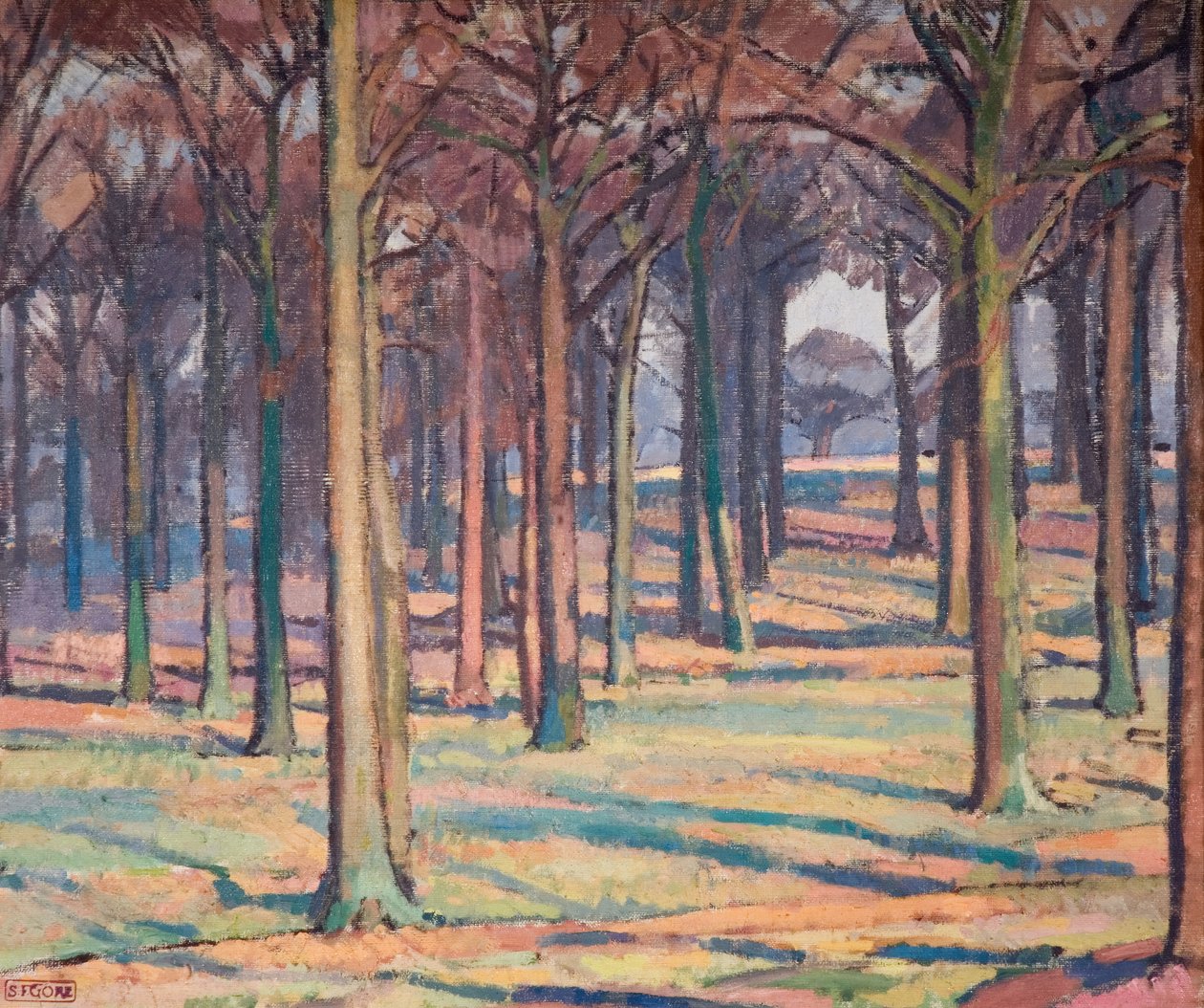 Bois dans Richmond Park - Spencer Gore