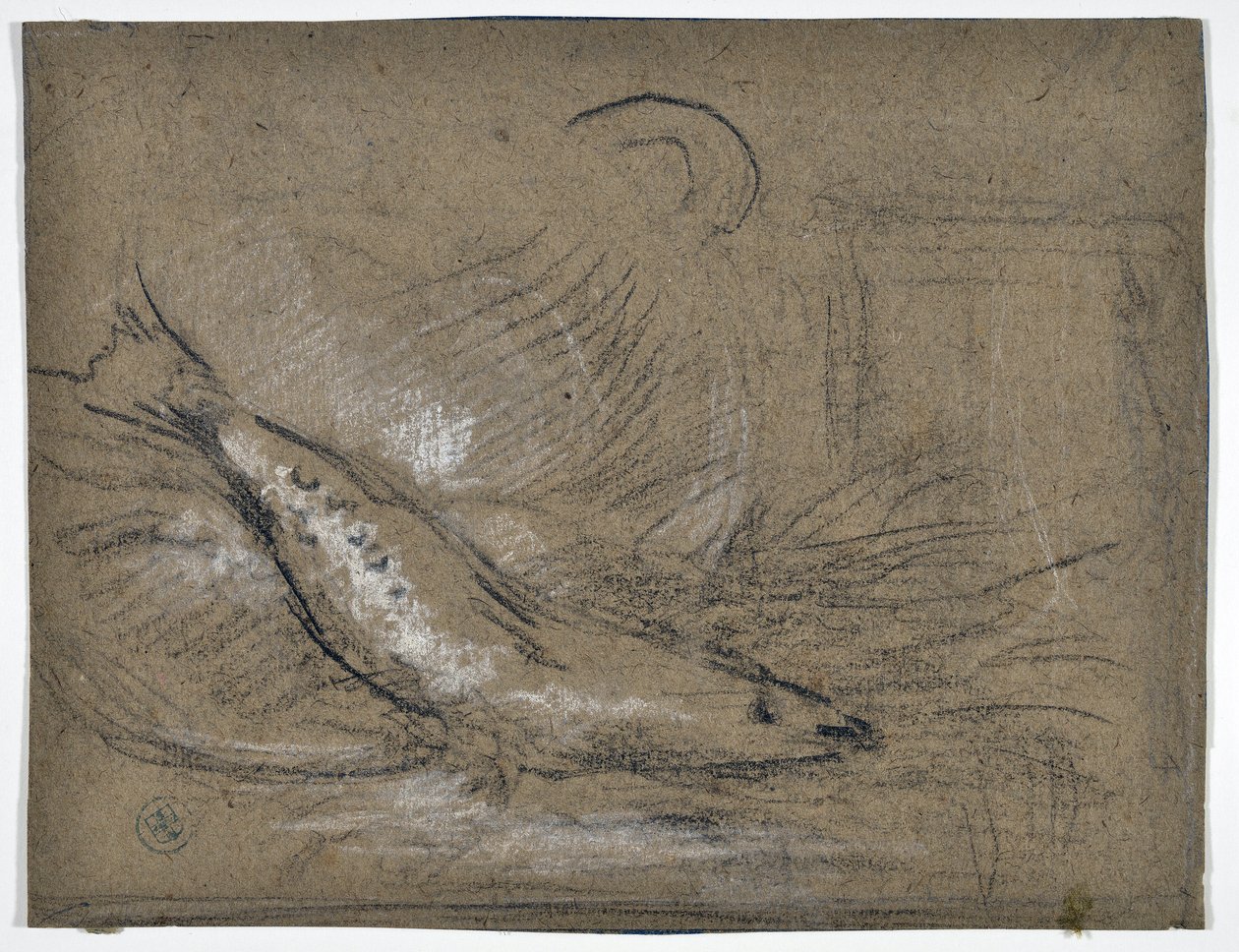 Étude de poisson - Stanislas Torrents y de Amat