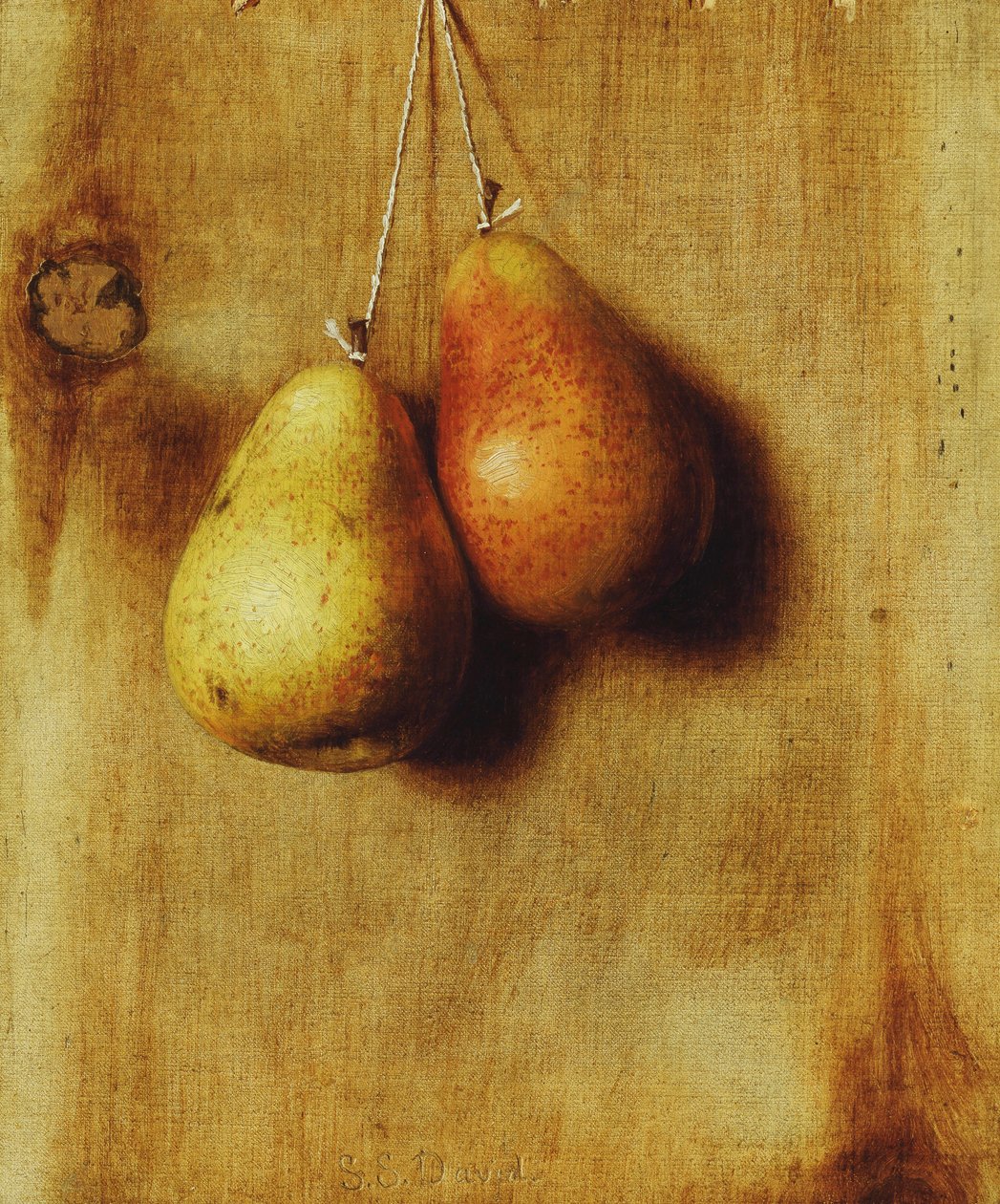 Poires suspendues - Stanley S. David