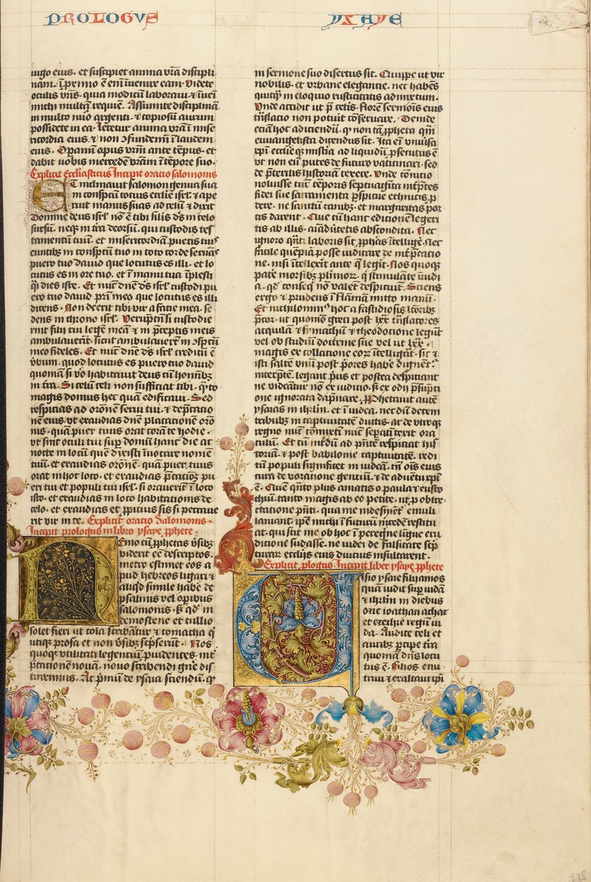 Initial V : Isaiah - Stefan Lochner
