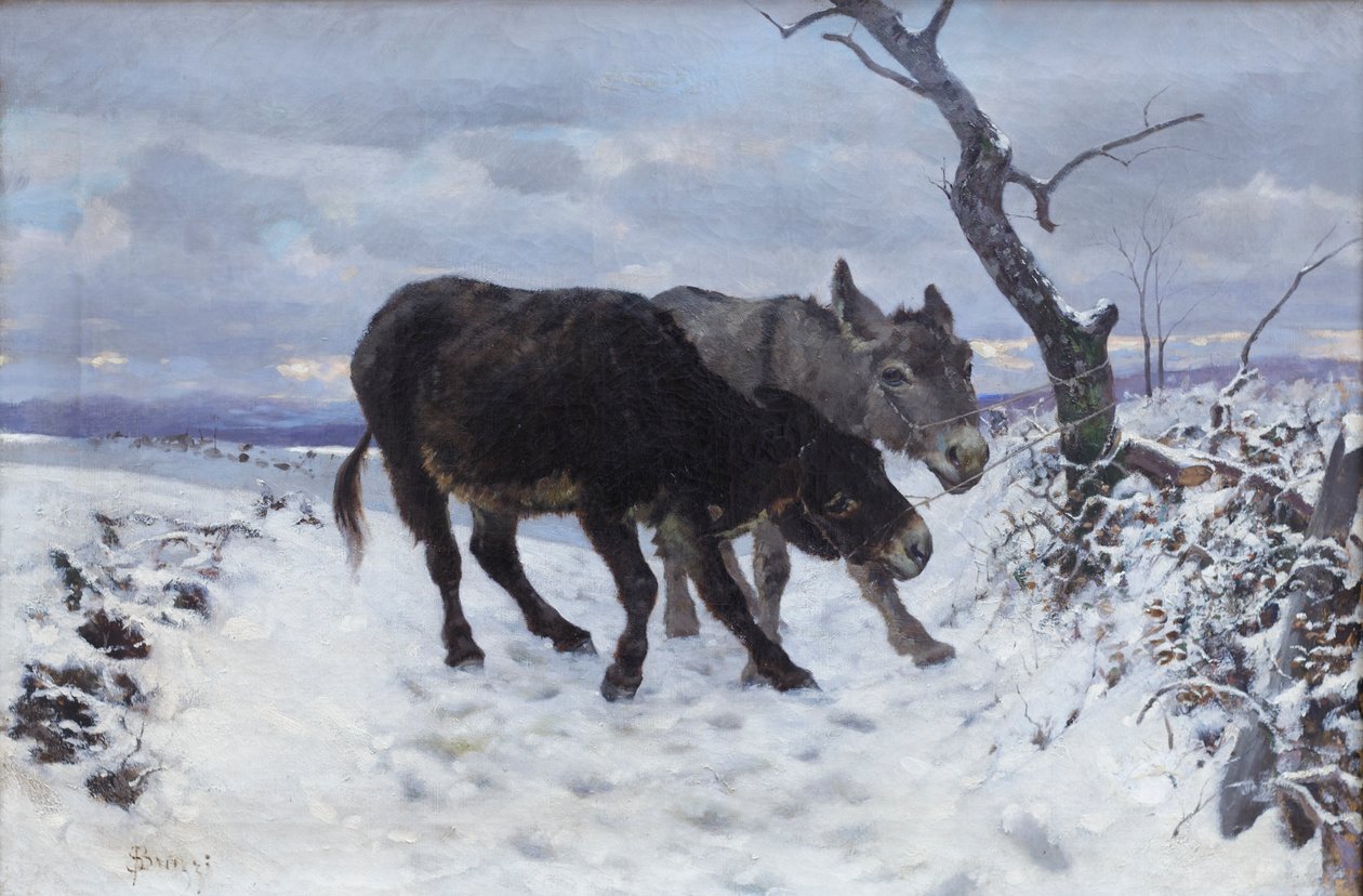 Les deux ânes dans la neige - Stefano Bruzzi