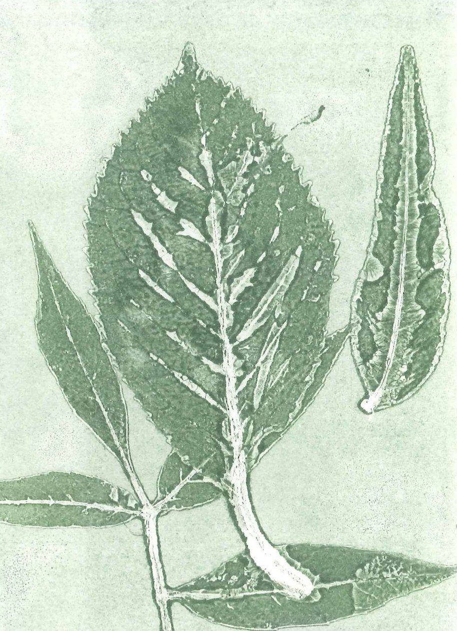 Gone IX, 2015 (monoprint sur papier) - Stephen Dow