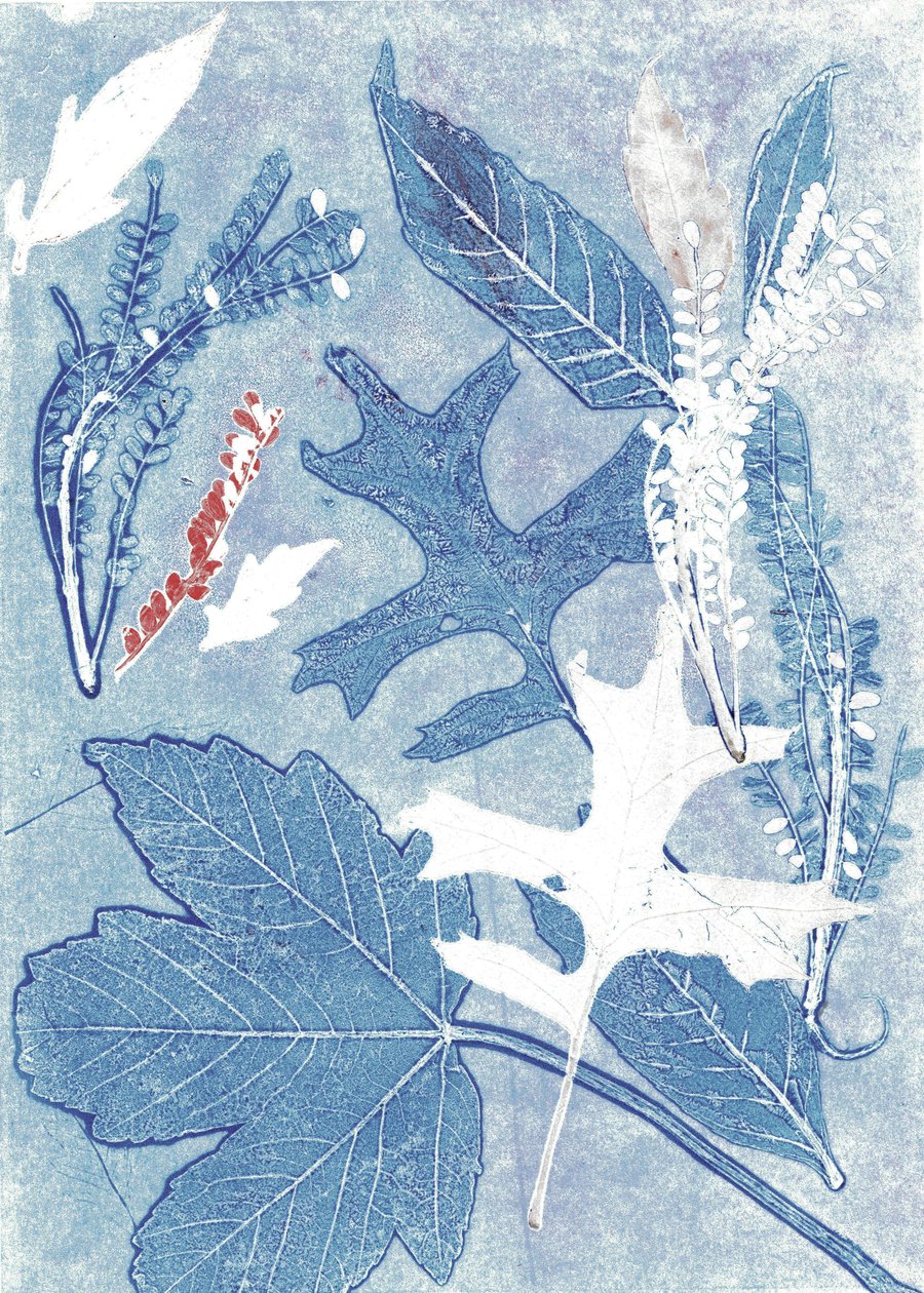 Jol II, 2017 (monoprint sur papier) - Stephen Dow