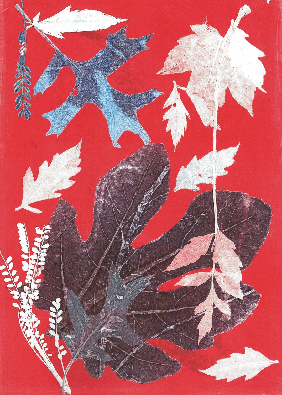 Jol XII, 2017 (monoprint sur papier) - Stephen Dow