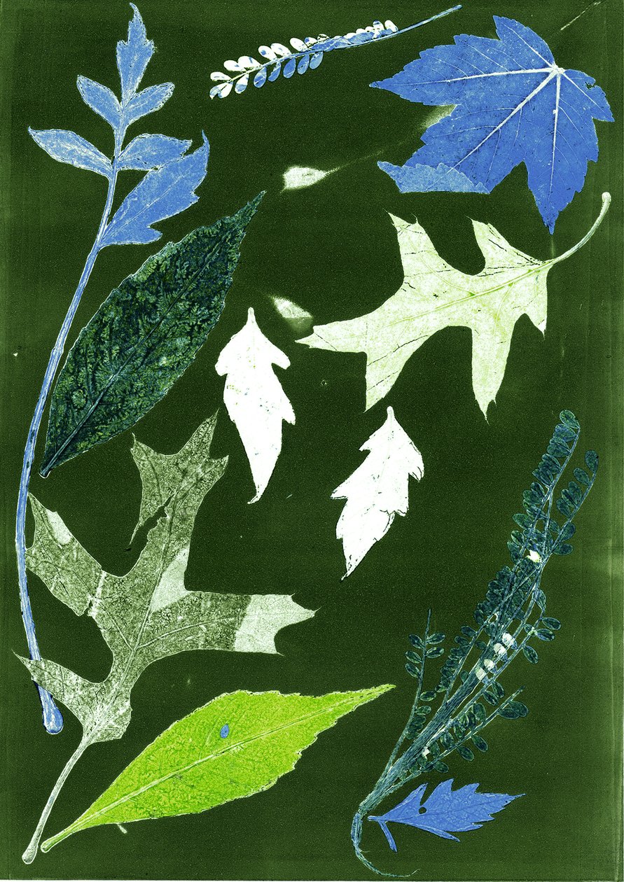 Jol X vert, 2017 (numérique) - Stephen Dow